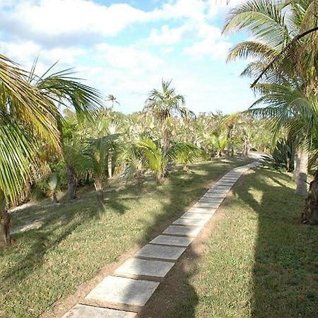 Rocks Retreat By Eleuthera Vacation Rentals North Palmetto Point Dış mekan fotoğraf