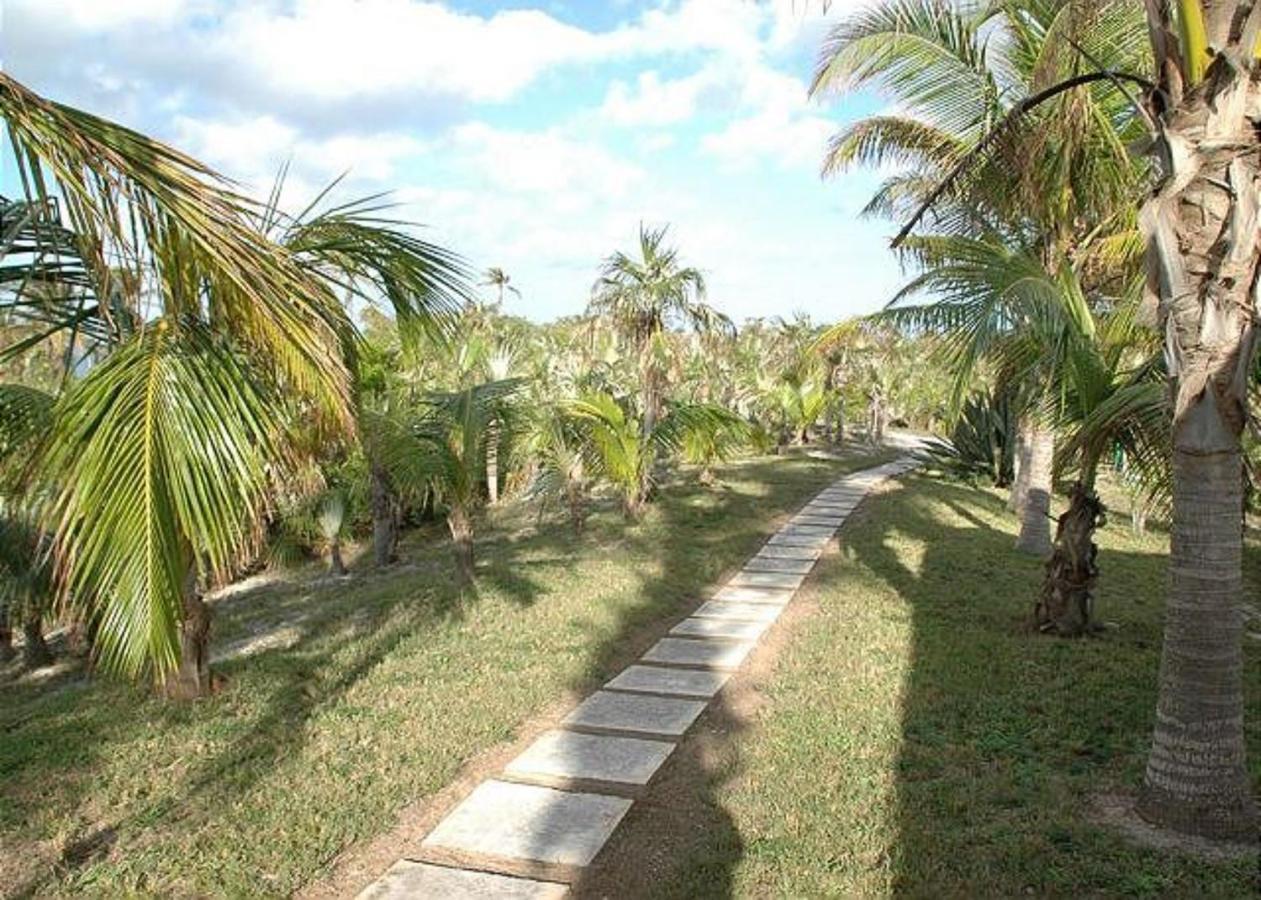 Rocks Retreat By Eleuthera Vacation Rentals North Palmetto Point Dış mekan fotoğraf